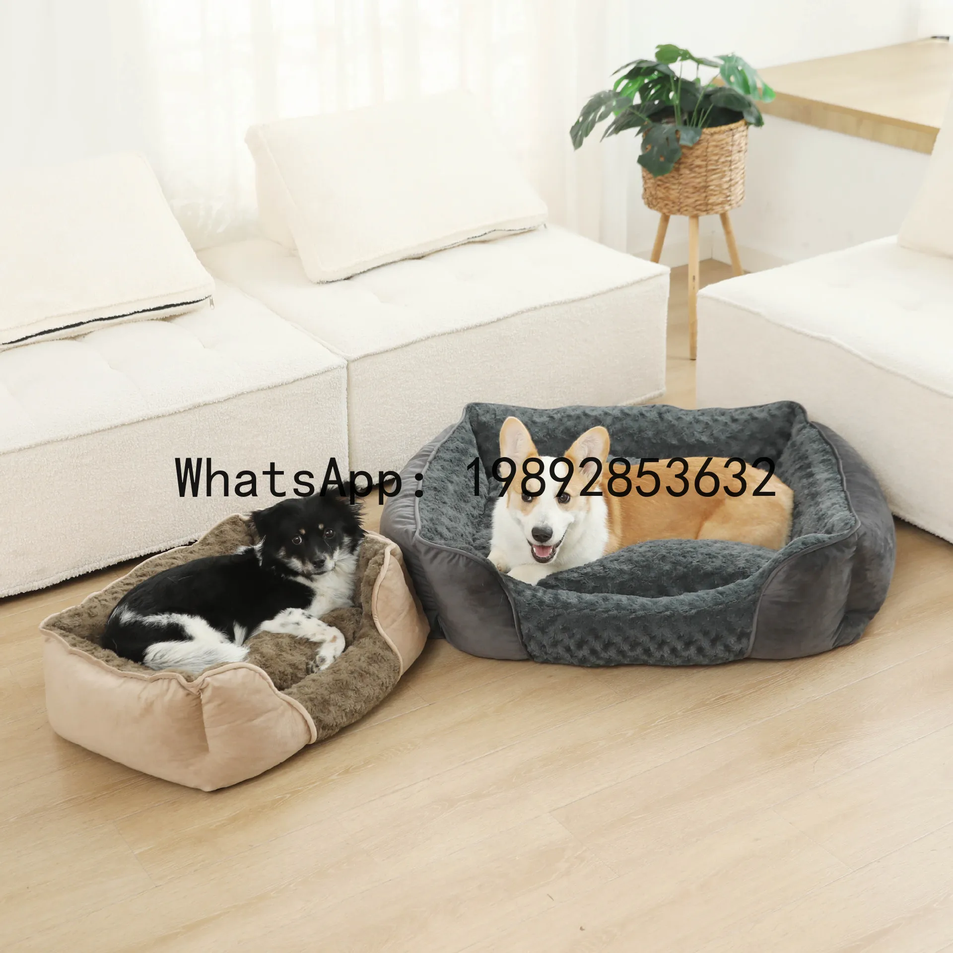 Pet X Supplies & Tack Howell Photos - X kattenhuis semi-gesloten hondenkennel dierenbenodigdheden voor