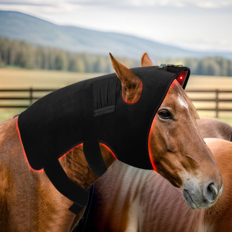 Pet Supplies Near - Rood Licht Dierenarts Therapie voor Paarden