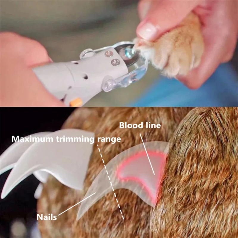 1PC Nagelknipper voor Huisdier - Pet Supplies Grooming recensie en prijs