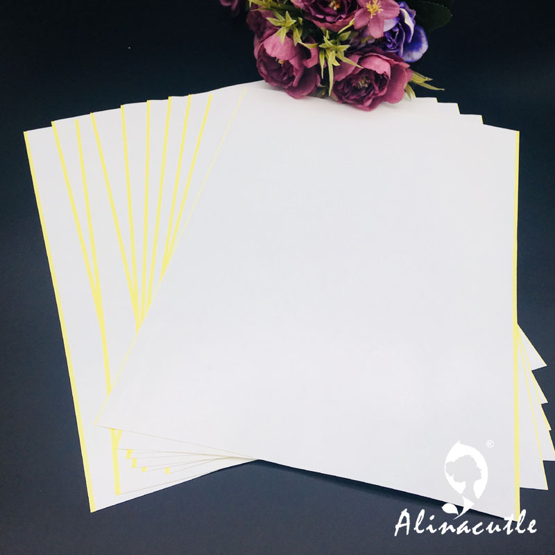 10PC X A4 Dubbelzijdige Tape S - Pet X Supplies & Tack Howell Photos recensie en prijs
