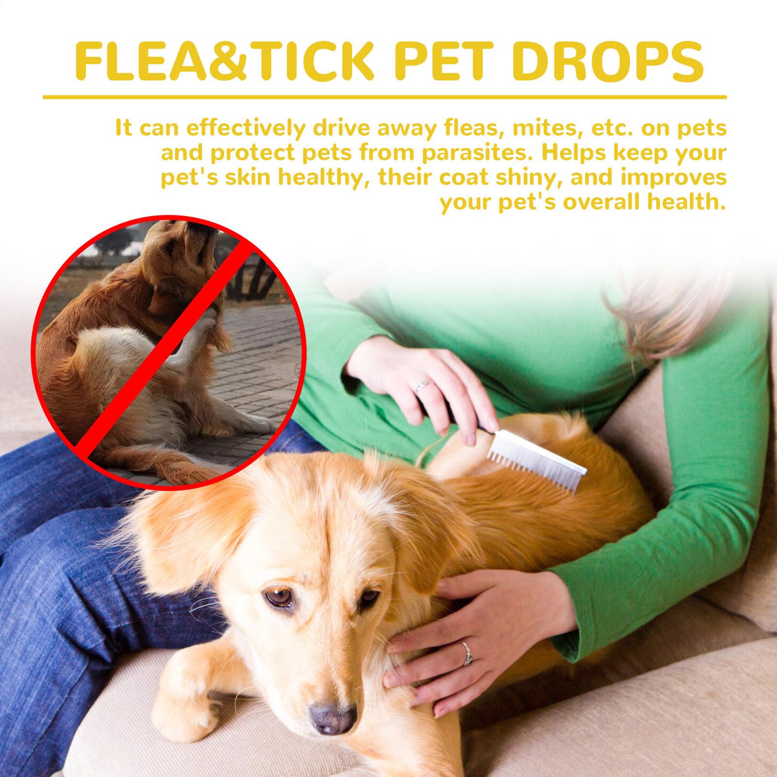 Anti-vlooien druppels voor kat - Pet Supplies Dropshipping recensie en prijs